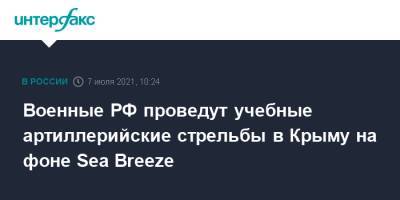 Военные РФ проведут учебные артиллерийские стрельбы в Крыму на фоне Sea Breeze - interfax.ru - Москва - Россия - Крым