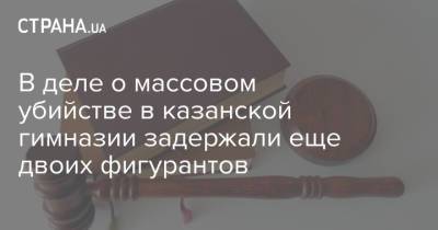 Сергей Иванов - В деле о массовом убийстве в казанской гимназии задержали еще двоих фигурантов - strana.ua - Украина - Казань