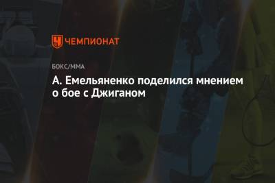 Александр Емельяненко - А. Емельяненко поделился мнением о бое с Джиганом - championat.com - Россия