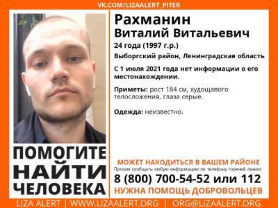 Элизабет Алерт - В Выборгском районе без вести пропал 24-летний молодой человек - ivbg.ru - Украина - Ленобласть