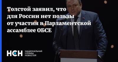 Петр Толстой - Толстой заявил, что для России нет пользы от участия в Парламентской ассамблее ОБСЕ - nsn.fm - Россия - Украина - Вена