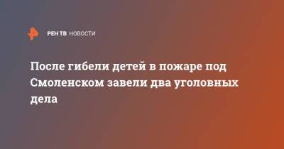 После гибели детей в пожаре под Смоленском завели два уголовных дела - ren.tv - Россия - Смоленск - Смоленская обл.