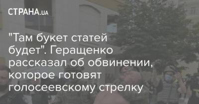 Антон Геращенко - "Там букет статей будет". Геращенко рассказал об обвинении, которое готовят голосеевскому стрелку - strana.ua - Украина - Киев