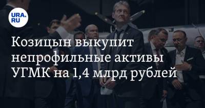 Андрей Козицын - Козицын выкупит непрофильные активы УГМК на 1,4 млрд рублей - ura.news