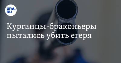 Курганцы-браконьеры пытались убить егеря - ura.news - Россия - Курганская обл.