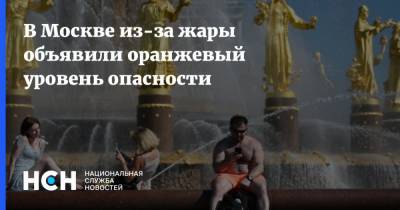 Татьяна Позднякова - В Москве из-за жары объявили оранжевый уровень опасности - nsn.fm - Москва - Россия