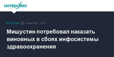 Михаил Мишустин - Дмитрий Григоренко - Мишустин потребовал наказать виновных в сбоях инфосистемы здравоохранения - interfax.ru - Москва
