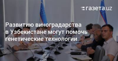 Михаил Ковальчук - Развитию виноградарства в Узбекистане могут помочь генетические технологии - gazeta.uz - Узбекистан