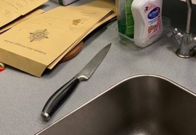 На Днепропетровщине мужчина зарезал помощницу по дому (фото) - facenews.ua - Украина - Днепропетровская обл.