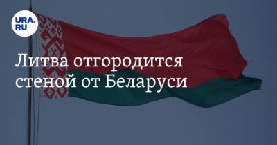 Александр Лукашенко - Ингрида Шимоните - Литва отгородится стеной от Беларуси - ura.news - Белоруссия - Литва - Вильнюс - Минск