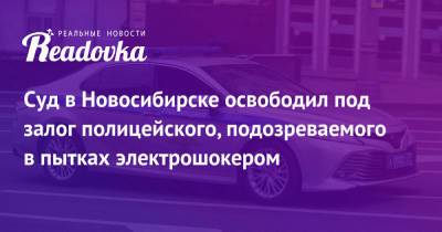 Суд в Новосибирске освободил под залог полицейского, подозреваемого в пытках электрошокером - readovka.ru - Иркутская обл. - Новосибирск