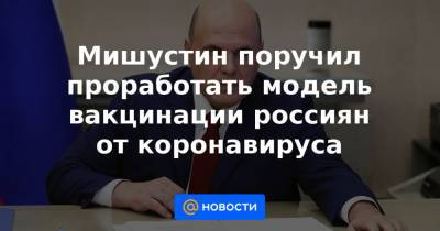 Мишустин поручил проработать модель вакцинации россиян от коронавируса - news.mail.ru - Россия