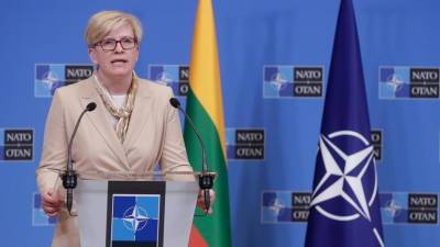 Александр Лукашенко - Ингрида Шимоните - Литва построит стену на границе с Белоруссией из-за мигрантов - russian.rt.com - Белоруссия - Литва - Минск