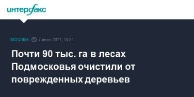 Почти 90 тыс. га в лесах Подмосковья очистили от поврежденных деревьев - interfax.ru - Москва - Московская обл. - Московская область