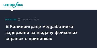 Ирина Волк - В Калининграде медработника задержали за выдачу фейковых справок о прививках - interfax.ru - Москва - Россия - Калининград - Калининградская обл.