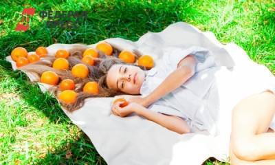 Как устроить вкусный и атмосферный пикник - fedpress.ru - Москва
