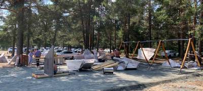 Владимир Любарский - В Петрозаводске продолжают благоустраивать незаконный пляж в Песках - stolicaonego.ru - Петрозаводск