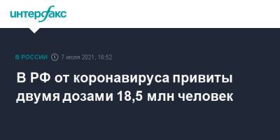 Татьяна Голикова - В РФ от коронавируса привиты двумя дозами 18,5 млн человек - interfax.ru - Москва - Россия