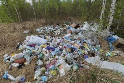 Дачников Заполярья призывают к систематизированному вывозу мусора - murmansk.mk.ru - Мурманск - Мурманская обл.