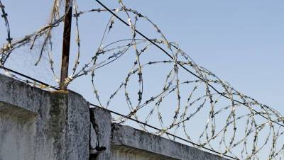 Ингрида Шимоните - В Литве рассказали, как будет выглядеть стена на границе с Белоруссией - gazeta.ru - Белоруссия - Литва