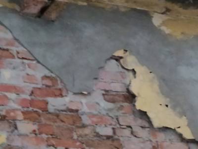 «Жить можно и в других комнатах»: у семьи в Белоострове обрушился потолок в квартире - rosbalt.ru - Санкт-Петербург