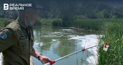 В Минэкологии сообщили результаты проб воды из водоема в Отарах — в конце июня там обнаружили пенную гору - realnoevremya.ru - Россия - респ. Татарстан - Казань