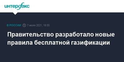 Владимир Путин - Александр Новак - Правительство разработало новые правила бесплатной газификации - interfax.ru - Москва - Россия