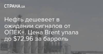 Эдвард Мойя - Нефть дешевеет в ожидании сигналов от ОПЕК+. Цена Brent упала до $72,96 за баррель - strana.ua - Украина - Эмираты