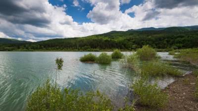 Вода и безопасность: куда двигаться Крыму – директор ИВП РАН - crimea.ria.ru - Россия - Крым