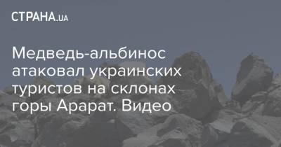 Медведь-альбинос атаковал украинских туристов на склонах горы Арарат. Видео - strana.ua - Украина - Турция - Нападение