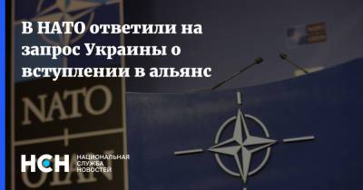 Владимир Зеленский - Джеймс Аппатурай - В НАТО ответили на запрос Украины о вступлении в альянс - nsn.fm - Украина - Киев - Вильнюс