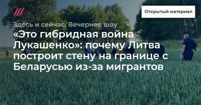 Софья Сапега - «Это гибридная война Лукашенко»: почему Литва построит стену на границе с Беларусью из-за мигрантов - tvrain.ru - Сирия - Украина - Белоруссия - Ирак - Польша - Иран - Литва - Афганистан - Ливия - Тунис - Латвия