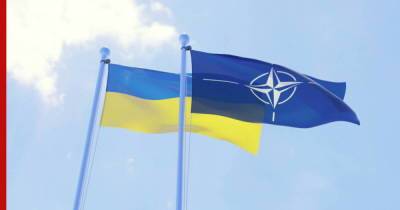 Владимир Зеленский - Джеймс Аппатурай - Для членства в НАТО Украине недостаточно выполнить ряд критериев, заявили в альянсе - profile.ru - Украина - Киев