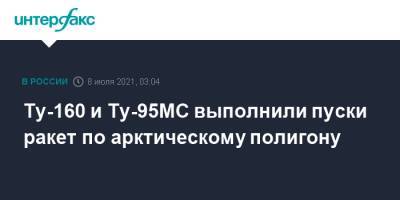 Ту-160 и Ту-95МС выполнили пуски ракет по арктическому полигону - interfax.ru - Москва - Россия - Иркутская обл. - Саратовская обл. - Рязанская обл. - Амурская обл. - Арктика