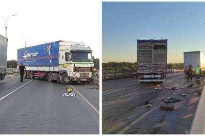 На Северном объезде Новосибирска грузовик рухнул на ремонтировавшего его водителя - novos.mk.ru - Новосибирск