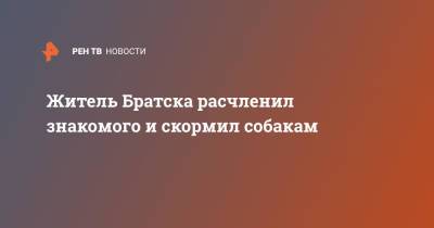 Житель Братска расчленил знакомого и скормил собакам - ren.tv - Братск