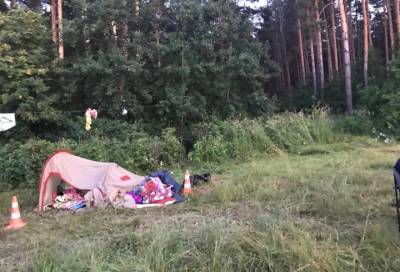 Фигурантка уголовного дела о наезде на женщину с детьми под Новосибирском оказалась на свободе - online47.ru - Новосибирск