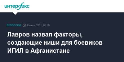 Сергей Лавров - Лавров назвал факторы, создающие ниши для боевиков ИГИЛ в Афганистане - interfax.ru - Москва - Россия - Афганистан