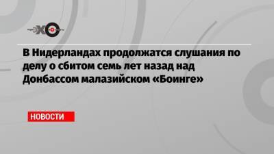 Хендрик Стейнхейс - В Нидерландах продолжатся слушания по делу о сбитом семь лет назад над Донбассом малазийском «Боинге» - echo.msk.ru - Россия - Голландия