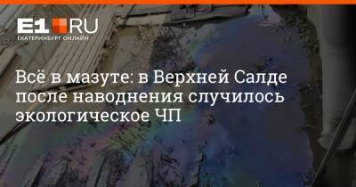 Всё в мазуте: в Верхней Салде после наводнения случилось экологическое ЧП - e1.ru - Екатеринбург