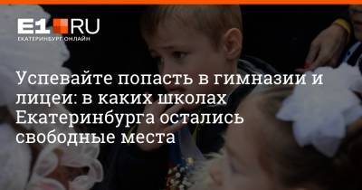 Артем Устюжанин - Успевайте попасть в гимназии и лицеи: в каких школах Екатеринбурга остались свободные места - e1.ru - Екатеринбург - Германия