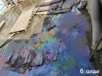 В Верхней Салде после потопа огороды и дома залило мазутом - znak.com - Свердловск - Люксембург