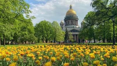 Михаил Леус - 8 июля в Петербурге будет аномально жарко - delovoe.tv - Ленинградская обл. - Санкт-Петербург - Петербург