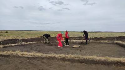Челябинские археологи нашли уникальное захоронение эпохи бронзы - newdaynews.ru - Челябинск