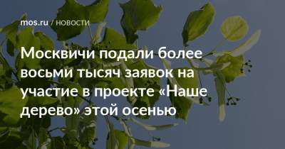 Эдуард Лысенко - Москвичи подали более восьми тысяч заявок на участие в проекте «Наше дерево» этой осенью - mos.ru - Москва - Экология