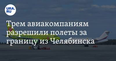 Трем авиакомпаниям разрешили полеты за границу из Челябинска - ura.news - Египет - Турция - Челябинск - Кипр - Азербайджан
