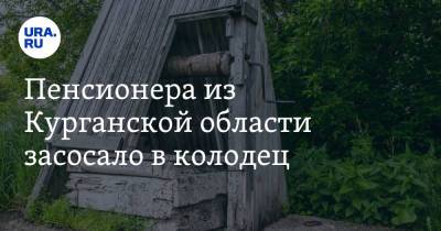 Пенсионера из Курганской области засосало в колодец - ura.news - Курганская обл. - район Кетовский - Шадринск