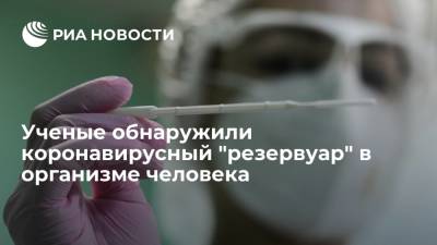 Бразильские ученые нашли скрытый резервуар для коронавируса в человеческом организме - ria.ru - Москва - Россия - Бразилия - Сан-Паулу