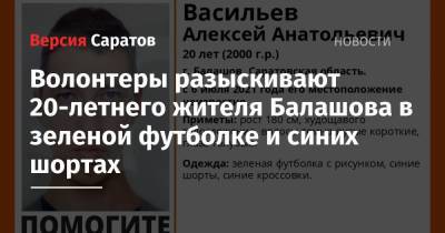 Александр Бастрыкин - Алексей Васильев - Волонтеры разыскивают 20-летнего жителя Балашова в зеленой футболке и синих шортах - nversia.ru - Россия - Саратовская обл.