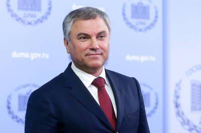 Вячеслав Володин - Володин: семейные ценности делают каждого человека сильнее - pnp.ru - Россия - Владимирская обл.